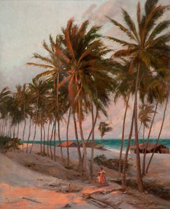 Strand Fortalezában Angolul: Praia de Fortaleza